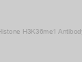 Histone H3K36me1 Antibody